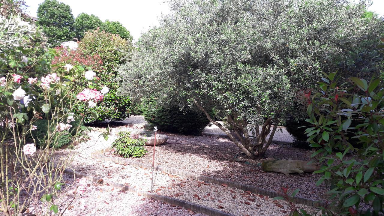 Villa Angel - Spa Caunes-Minervois Exterior photo
